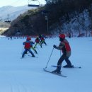 대마초등학교 이미지