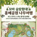 홍예로 충청타임즈