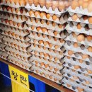 상무금요시장 옆 이미지