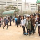 별망초교 이미지