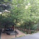 영규농장 이미지