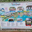 [리뷰] 고양꽃박람회 속 플라워마켓 후기- 무료로 꽃구경이 가능하지만 어째서 티켓값보다 더 쓰고 왔다