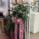 꿈그리다미술학원 - 세종특별자치시 한누리대로 2165 | 꿈그리다미술학원