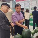 소과담