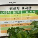 오마이BOB
