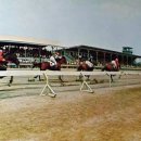 상은목장 이미지