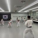 힘차리 태권도장 네이버블로그