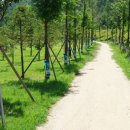 신용가든 이미지