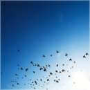 승진목장 이미지