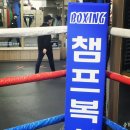 대전챔프복싱클럽 이미지