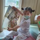 로뎀나무도서관 이미지