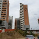 청천온누리약국 Daum카페