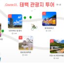 태백 관광지 투어 이미지