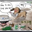 토사구팽 유래-사람이 먼저다 이미지