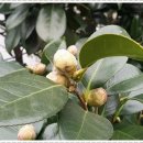 금샘유치원 이미지