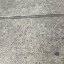 뉴욕파크 호스텔 이미지