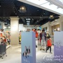 신세계 애견미용샵 이미지