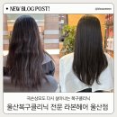 세븐일레븐울산우정혁신LH점 | 울산 라본헤어 – 극손상모도 소생시키는 복구클리닉 후기