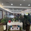 명품관광주