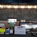 퍼피해븐 이미지