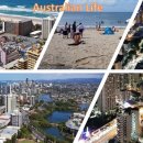 월은농장 이미지