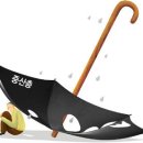 중산 이미지