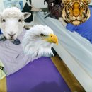 일진여관 네이버블로그