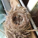 수락 농장 이미지