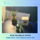 천현농장 | 향긋한 허브 블렌디드 녹차티백 와일드오차드 유기농 잉글리쉬 코티지 티백