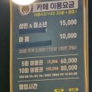 야옹아놀자 | 대구 동성로 야옹아놀자 고양이카페