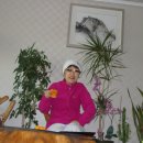 화정만두 이미지