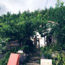 방장산민박 이미지