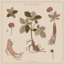 참한의원 이미지