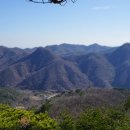 동대봉산(東大封山691m).동대봉산 무장봉(鍪藏峰625m)=무장산(鍪藏山) /경북 경주 이미지