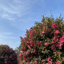 앳.코너(at.corner) 이미지