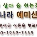 천삼비료