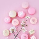 포천초교 이미지