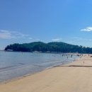 연포해수욕장(송림) 이미지