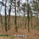 남조로수망교차로 2 이미지