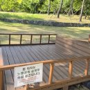 환타랜드숲유치원 | 청라 노을공원 숲체험 프로그램 무료 신청 | 더운 날 다녀 온 후기 (노을공원 찐후기)