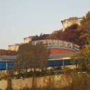 청과채소도소매