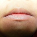 메어리벳의원 이미지