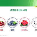 새한솔약국 이미지