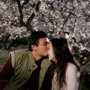 너는 내운명 이미지