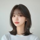 헤어보그 이미지