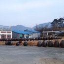 영산식품