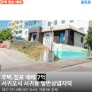 서귀동-15 티스토리