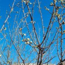 문화민박 이미지