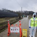 오리농장 이미지