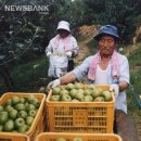 탑리농장 이미지